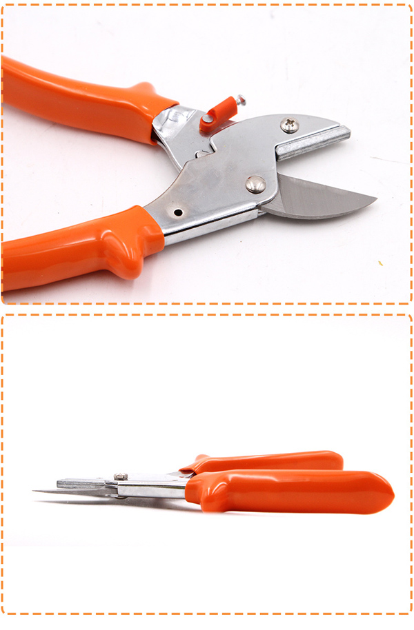 �@�ּ�֦����