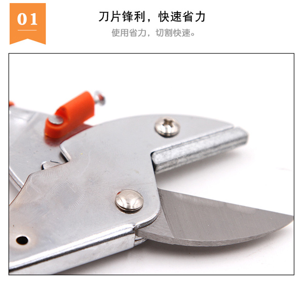 �@�ּ�֦����